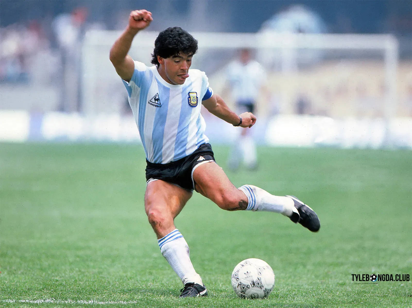 Diego Armando Maradona - Huyền thoại Argentina 